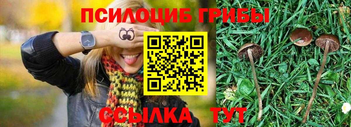 Ростов-на-Дону  Галлюциногенные грибы прущие грибы  Вход с VPN 